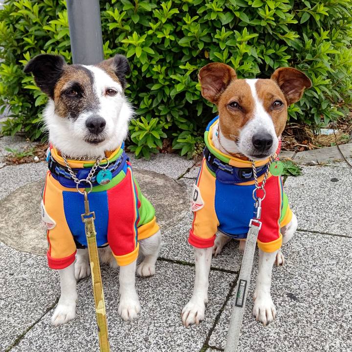 1004ae5d b1a5 4110 9bcd 5a4c06beb397 1622416789090