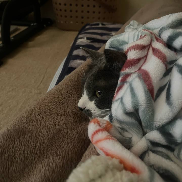 1004b1ef 07f9 42e0 b3ed 57ead90a503c 1701220008348