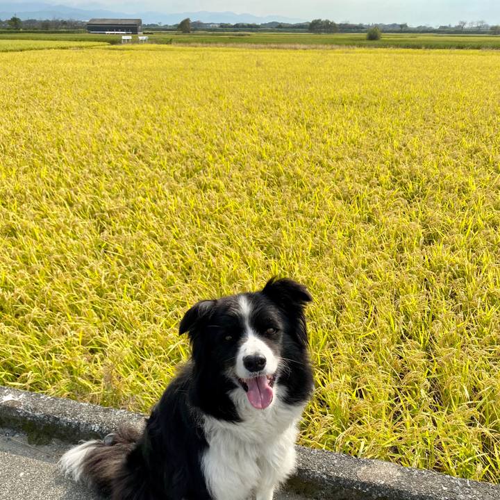 1004c939 9261 43e2 8969 aa0f34f89d44 1601425473487