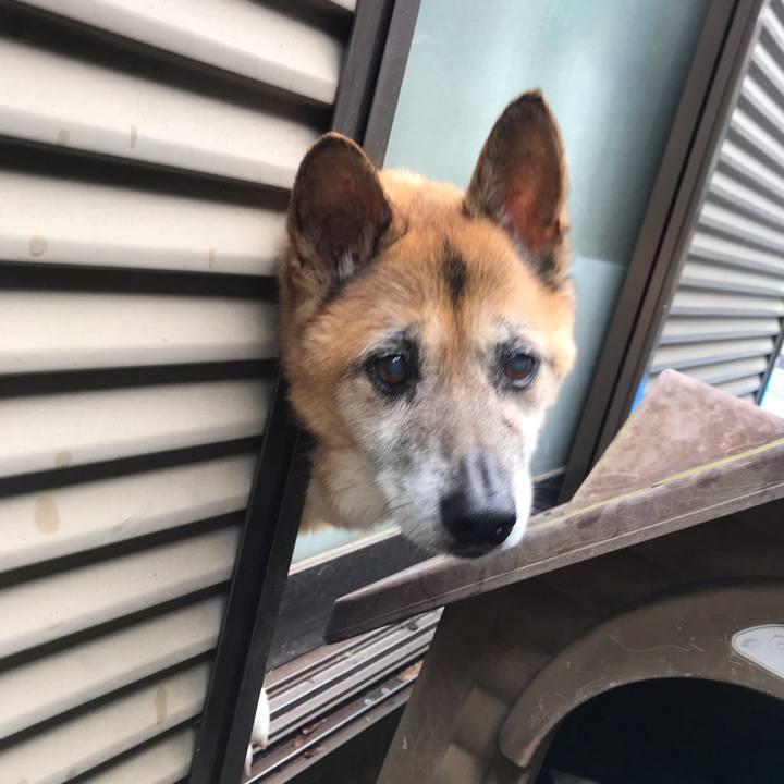 1004e891 f24e 4303 8144 cb17dfc34047 1563318903238