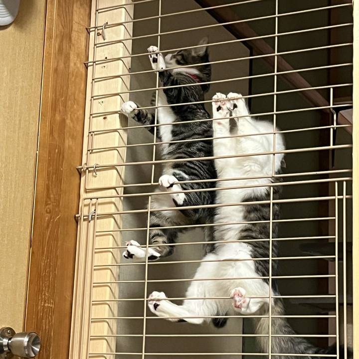 1005001f 97ea 4c04 815e a8786f472361 1694334406962