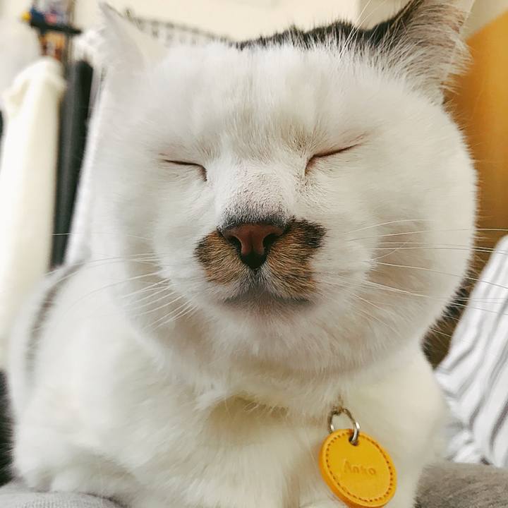 10054170 d751 436e ae1e 3ff860b2b3ee 1521259937668