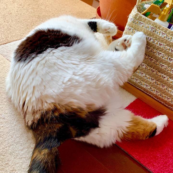 1005ad85 be58 4a1c a1ba 83be76f2651e 1562892802551