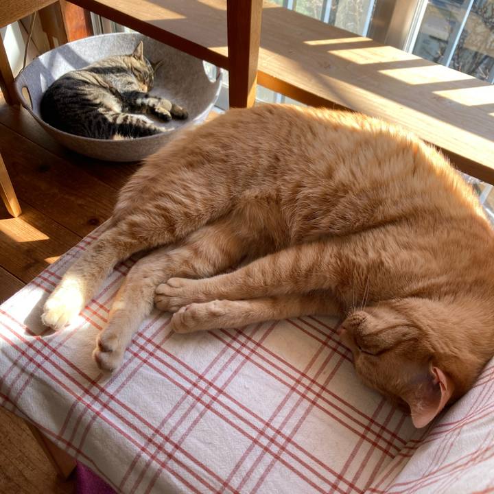 1005b738 5847 49bb b39a 6b19d63796f1 1679211825636