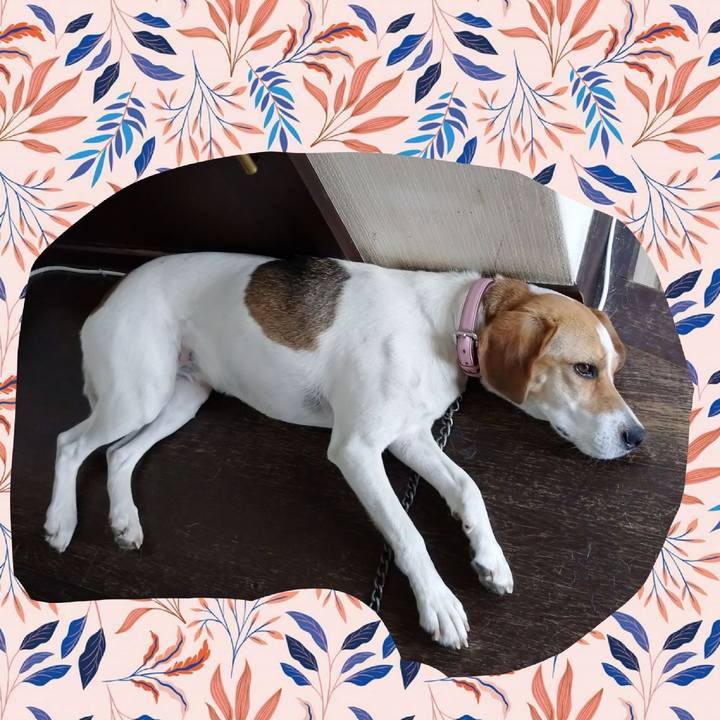 1005f6a5 667a 4390 b940 8caa59b79c4c 1593140625145