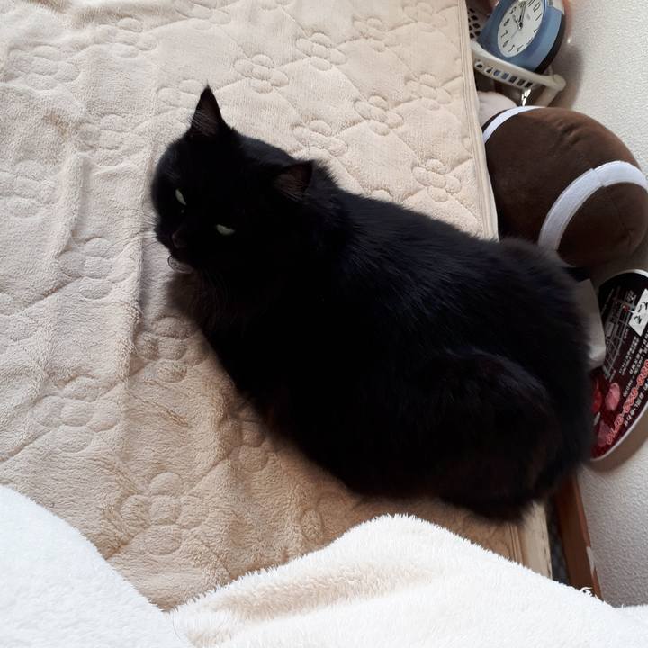 1005fdb4 85d3 40f3 919e b41700bcbf59 1521762796178