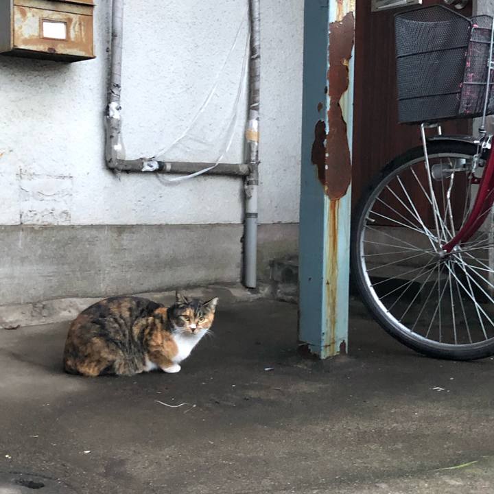 1006136d 114a 45e9 931c e799cdfb93c1 1544164016417