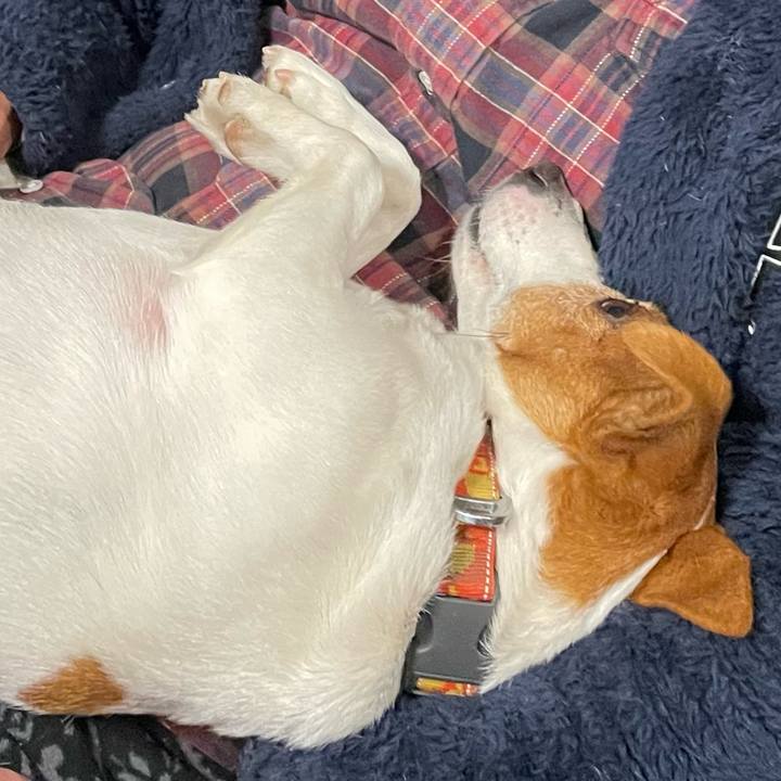 1006226e c40f 46cd 86a8 4458b545e4fd 1769943360432