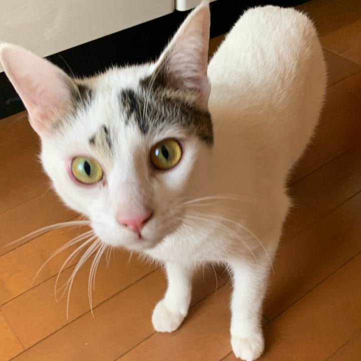 1006382d e9b0 4030 9d2d d086179e8420 1612256931884