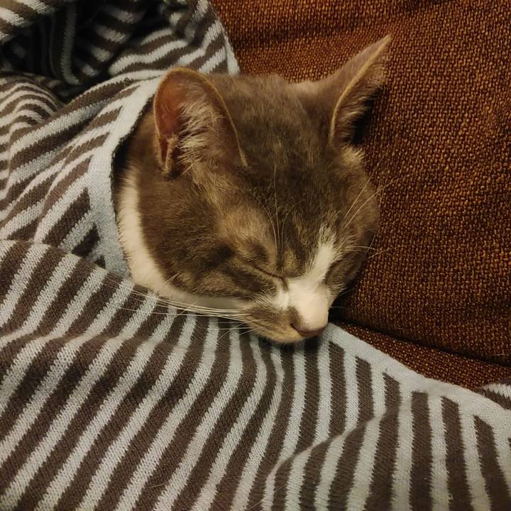 10064756 aae2 4173 8eb4 28542ca33022 1590051906228