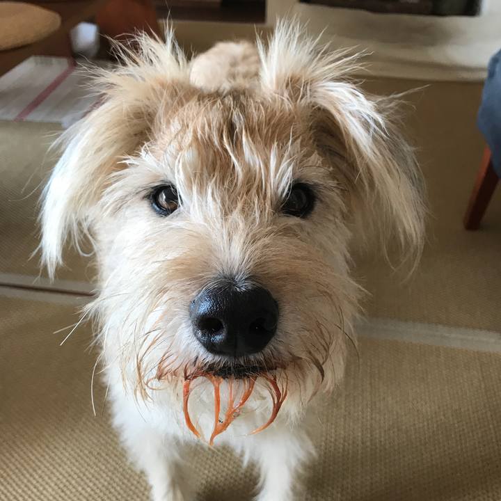 1006643b 9cdf 4942 9b2a 102cd99c877c 1536626026462