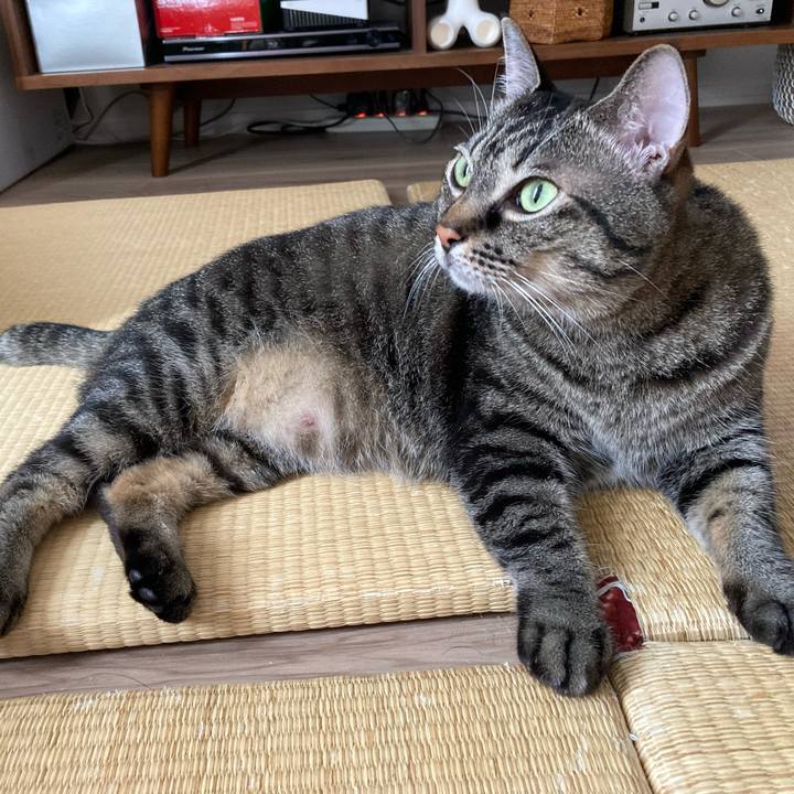 1006666f 5e18 4e9f a92b 211b6af45e23 1599693179192