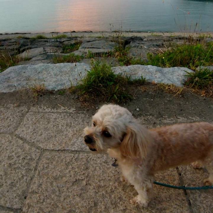 100676e6 1b4b 43ff a39b 05b9b2df8fa0 1565261482474