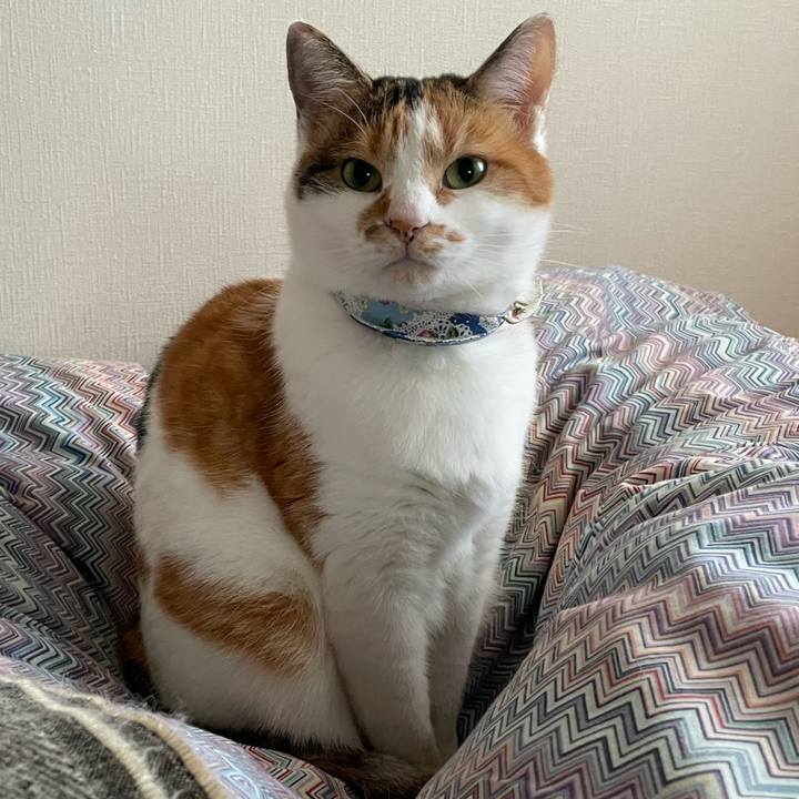 10067c31 c720 4b7f 889e e20cf586c892 1731022511045