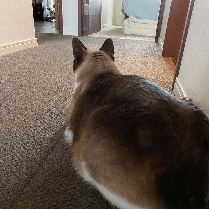 1006a588 b47a 4c5c a37a 3f2570573a79 1586303479942