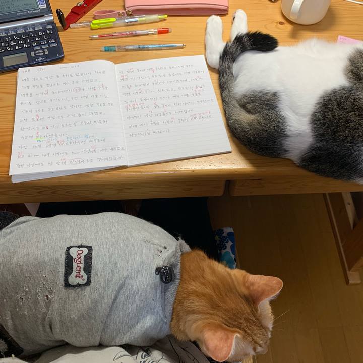 100721c1 f31f 433c 8aab e1d1b80bfbec 1639605755201