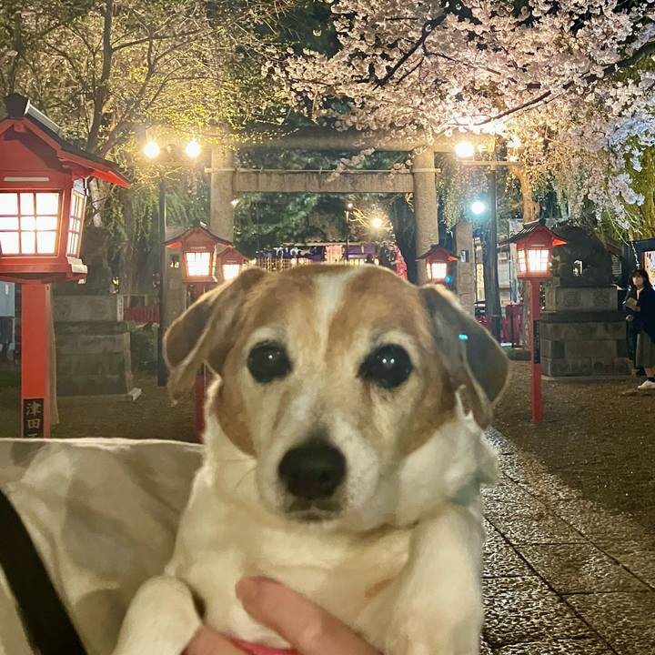 100742de 2154 49da 85a7 3c7d3a940446 1712491286530