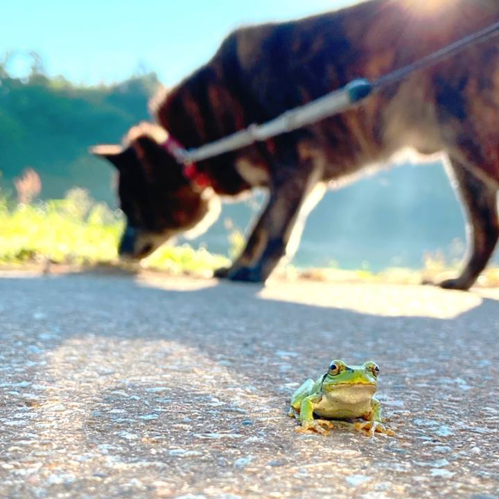 10075bcb 1285 40ad af08 02f3464a7666 1590788594942