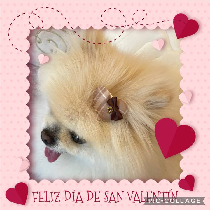 100782c0 7281 422b bb42 47c0d3c84035 1739544552267