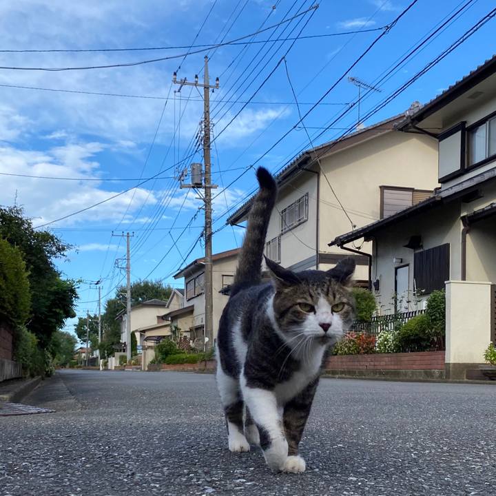 1007cd71 d8cd 4721 a930 7be78d36b9ea 1599831450906