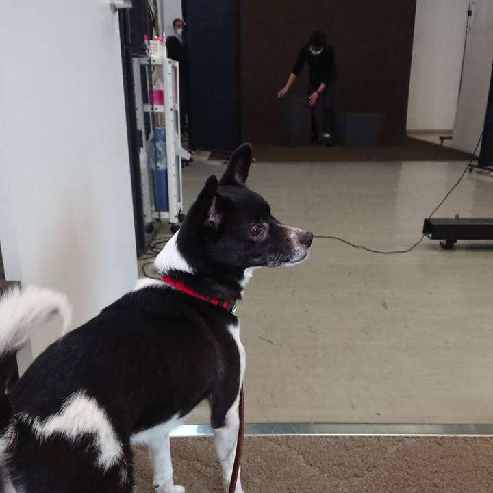 1007d090 13ce 4fcf 9a26 fc221bd44d04 1648683846461