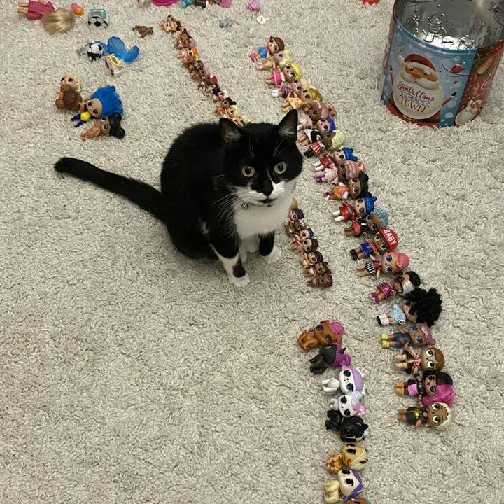 1007d4d7 a611 4383 b9fe 46d53657477f 1579946529724