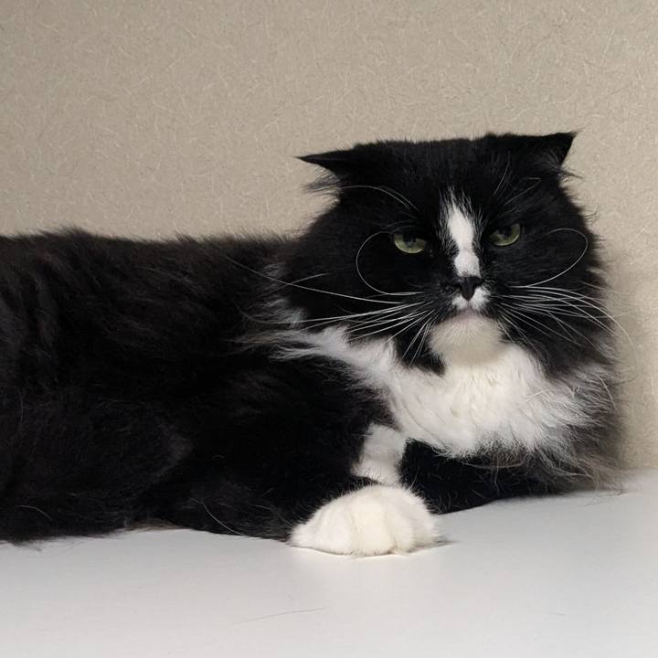 100821da 1d2f 4b7d a704 32d49862a744 1750077609594