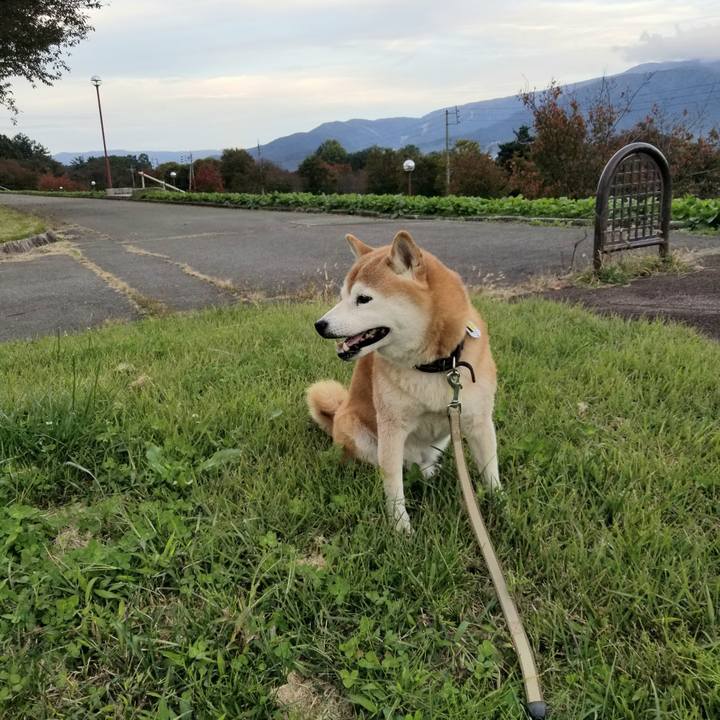 10082a77 f274 4972 90bc ef5bea44b8a3 1665732907044