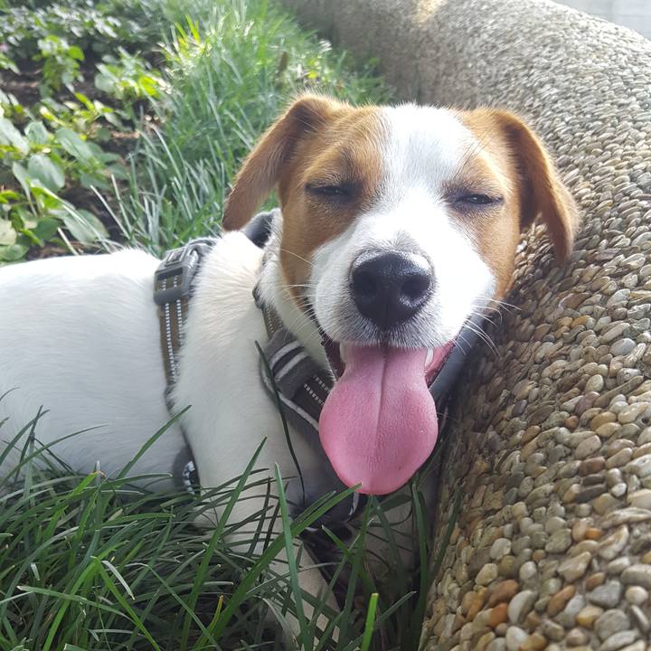 10082ecf a6ec 4038 99ac c45a69914ebd 1564359856945