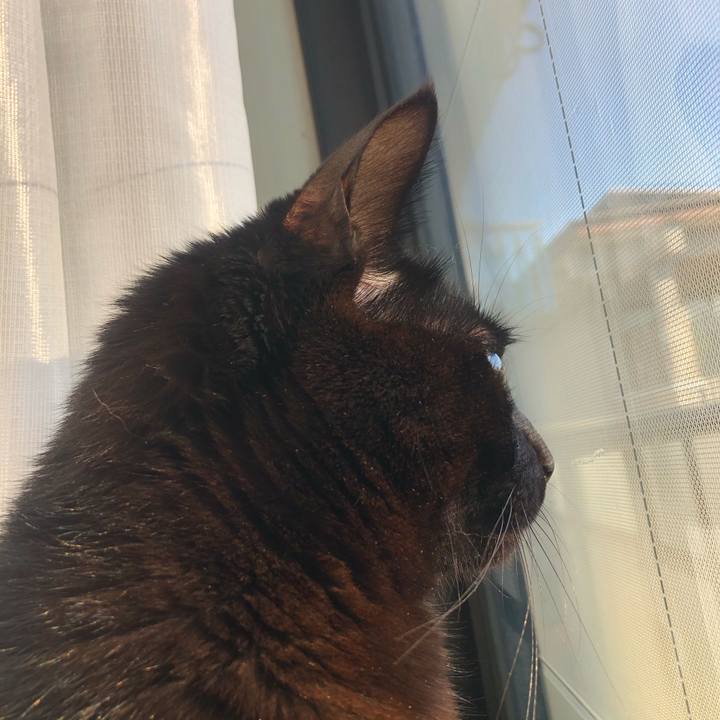 10084bd3 ed77 4659 bac4 6f8136816ef6 1608350754940