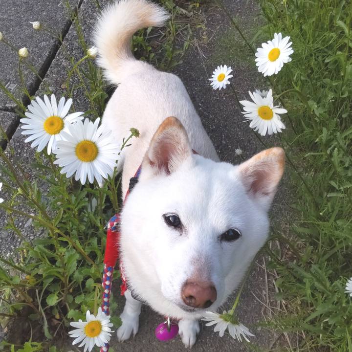 10084e12 ff32 4e24 8395 6449df2b6577 1715421619260