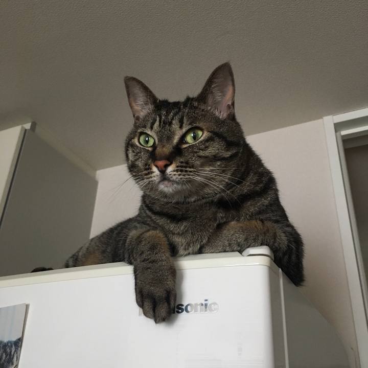 10089b5b 68fb 4a9c 8d9f e559cadf8440 1592440855123