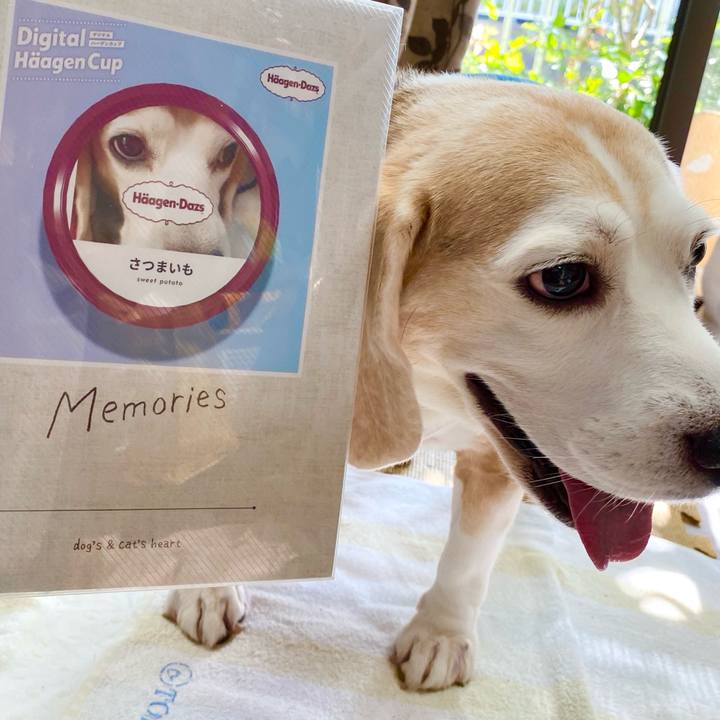 1008ab84 89a9 456f bfba dfa42ba4e65d 1631770644576