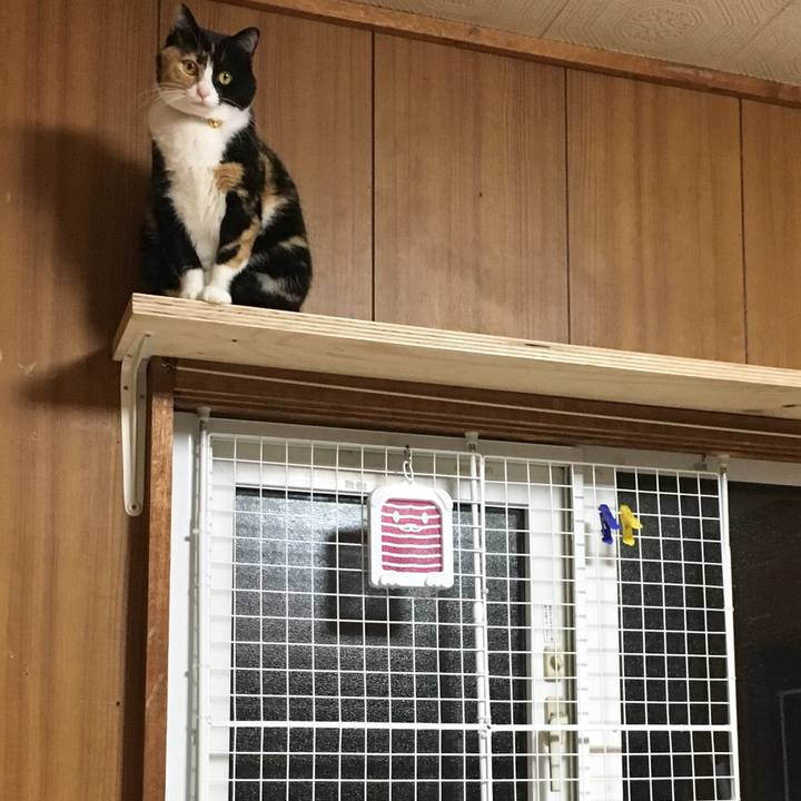 1008d3a6 443b 40b4 a148 ebd71e93aac9 1511686211713