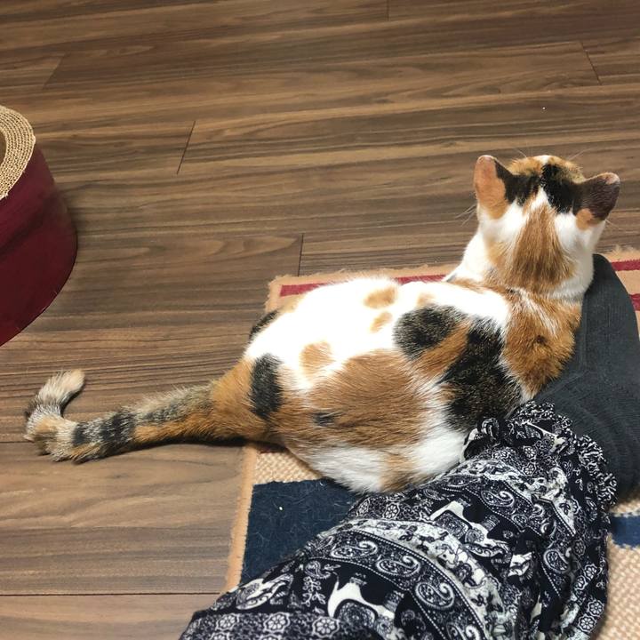 10092c52 afc2 406d a84e aa45e6a2d659 1600000261424