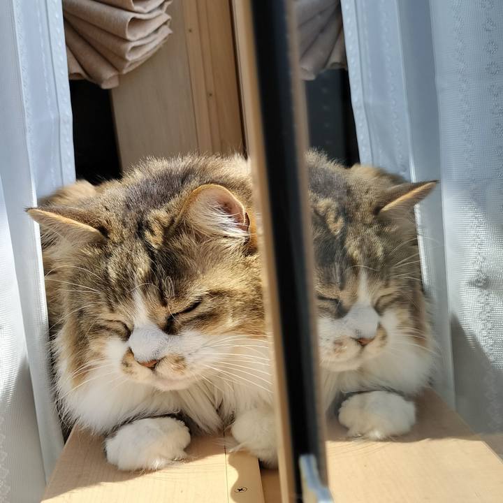 1009863d 6fdd 4202 8217 eede49a001cf 1774070190535