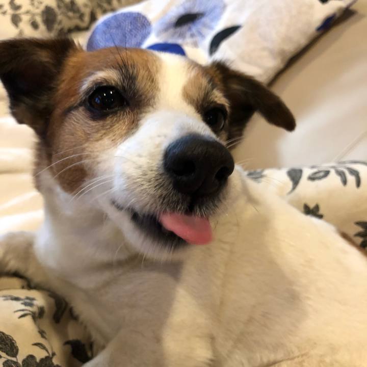 1009e994 f71e 4e80 b868 96a710762d49 1519999375374