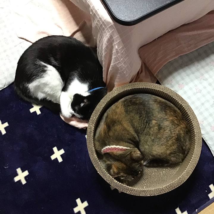 100a0aba 7f0d 4d84 9c99 56ce0e729f8d 1711366378303