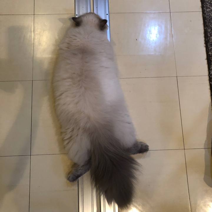 100a3247 faf0 4e04 a213 d2f783bbc2e7 1533642022900