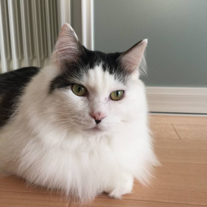 100a33fd fb9c 4bb3 8385 4c7d7b77342b 1511487808915