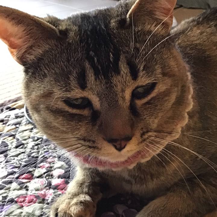 100a409f de87 45db a36a 56d881da2cbc 1620362754098