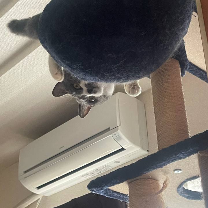 100a4faa d4c0 4395 914d 575c79677fc4 1705039285397