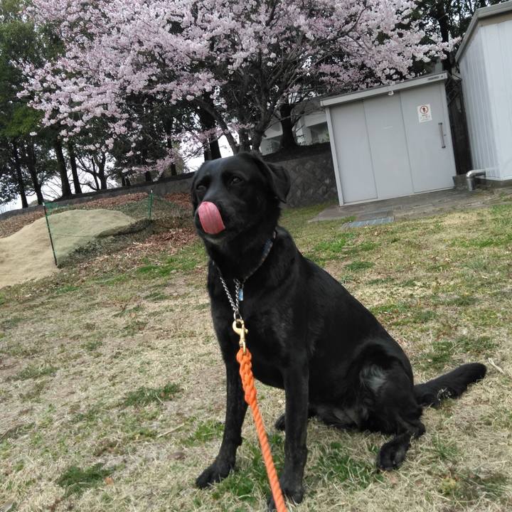 100a5c8d 506c 49a0 9bbc 252fd07e53f8 1553664904970