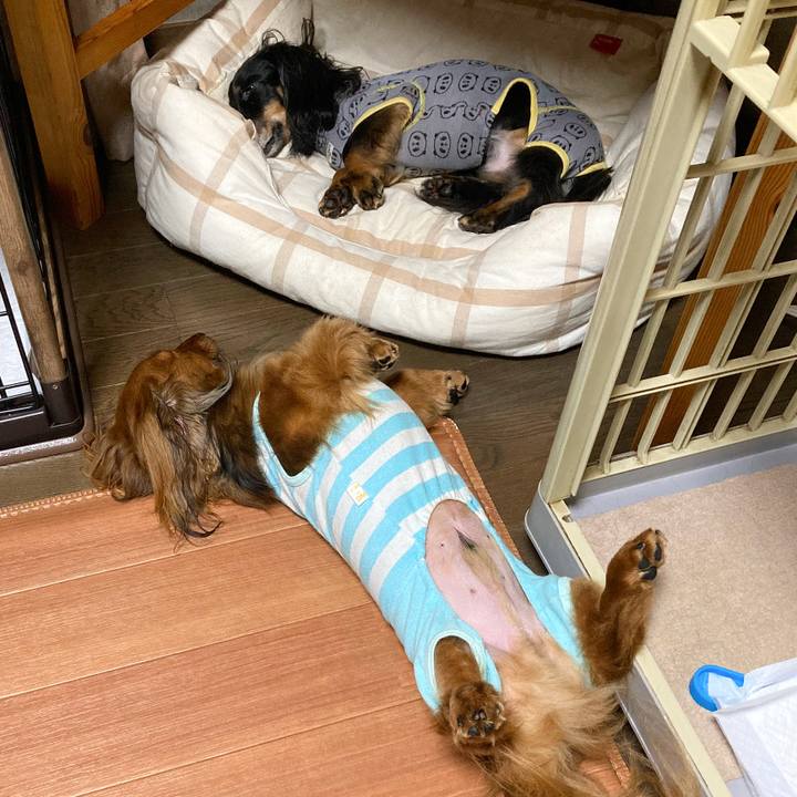 100a8673 18f1 4d9c b264 8b1213183168 1754826990265