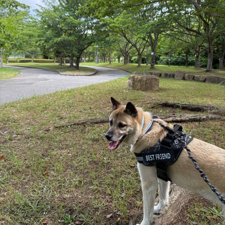 100a9b11 e6f3 44b8 8bb6 bf357ca6bcca 1751802728643