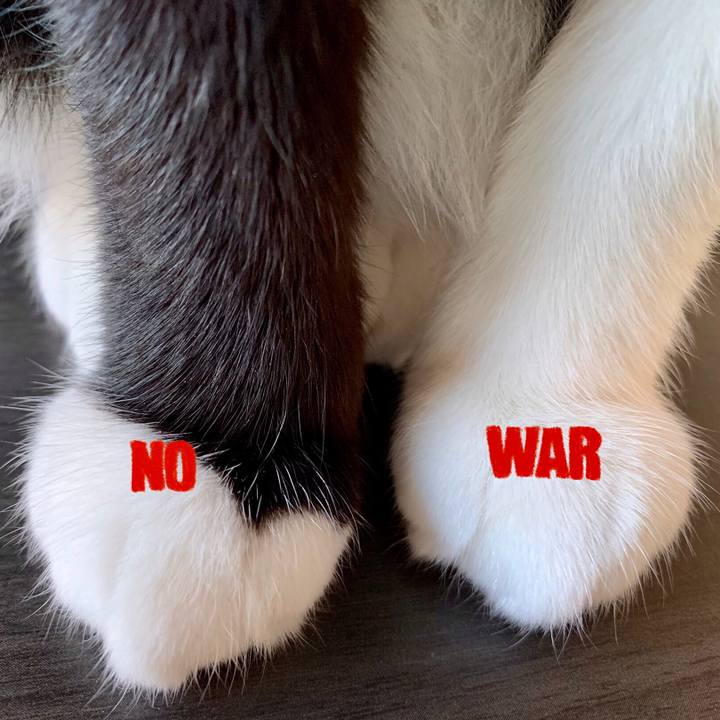 100ad7b2 600a 4b36 b8f2 d4bff386757b 1645839547340