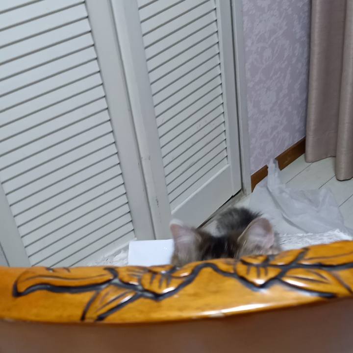 100ae8cc b26a 41ff abea cf530d52a0fb 1671400113455