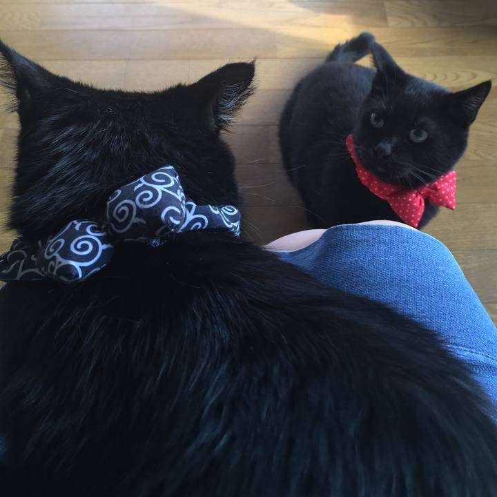 100b06c4 3818 4e79 b459 9aee8f2a915b 1537054241385