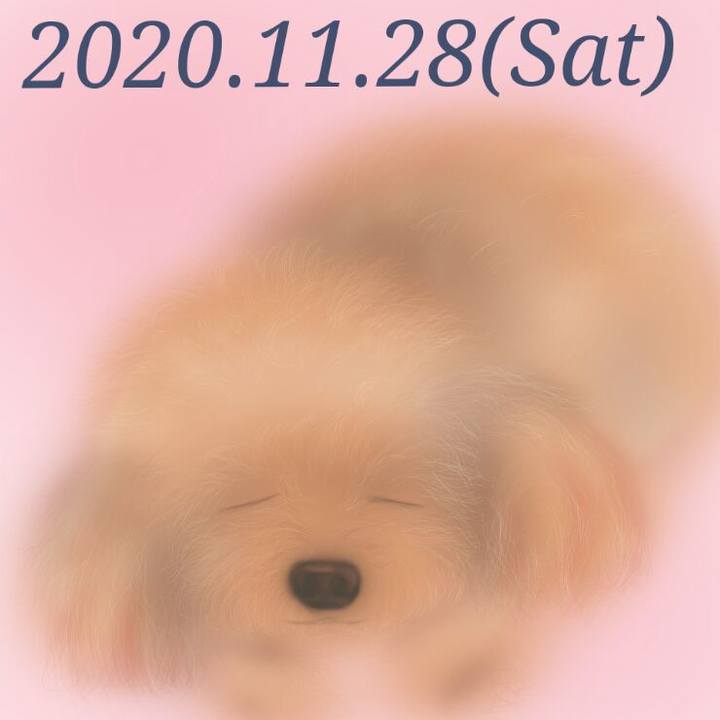 100b18d7 3488 45e4 8f5f a5e3dc51b0bb 1606527144061