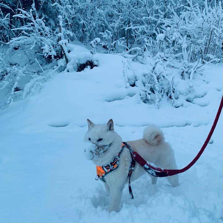 100b1cc7 79f2 40c0 8903 c4e30fc114b2 1671057030096